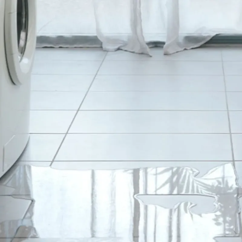 Appliance Leak Cleanup in Lexington, VA