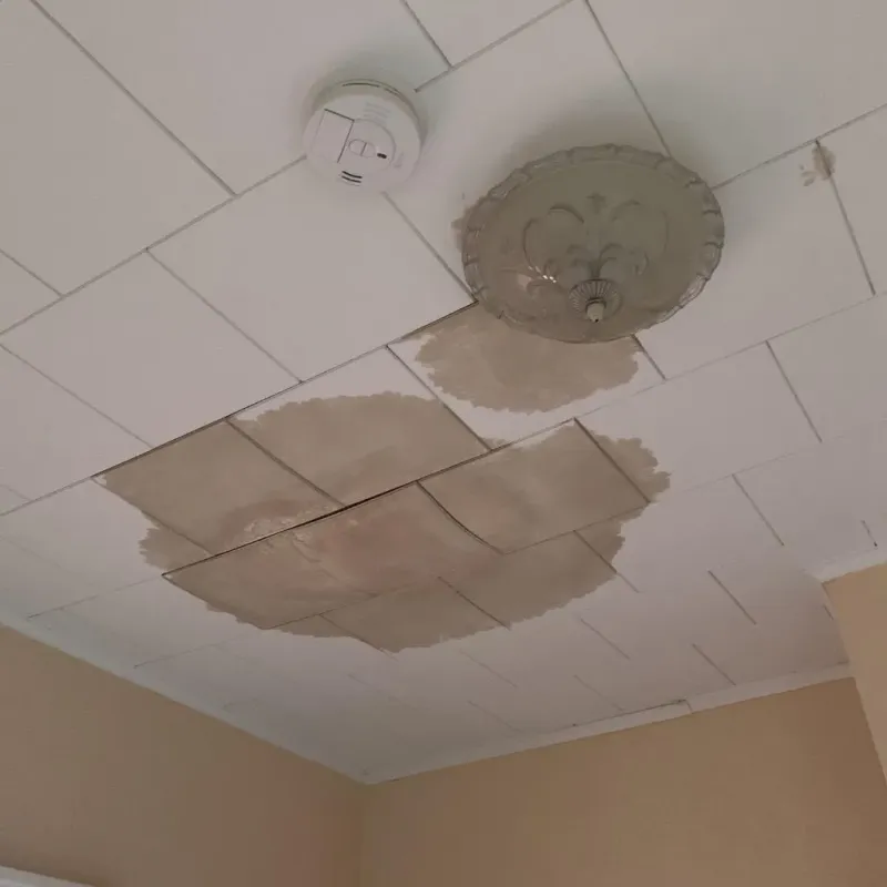 Ceiling Water Damage Repair in Lexington, VA