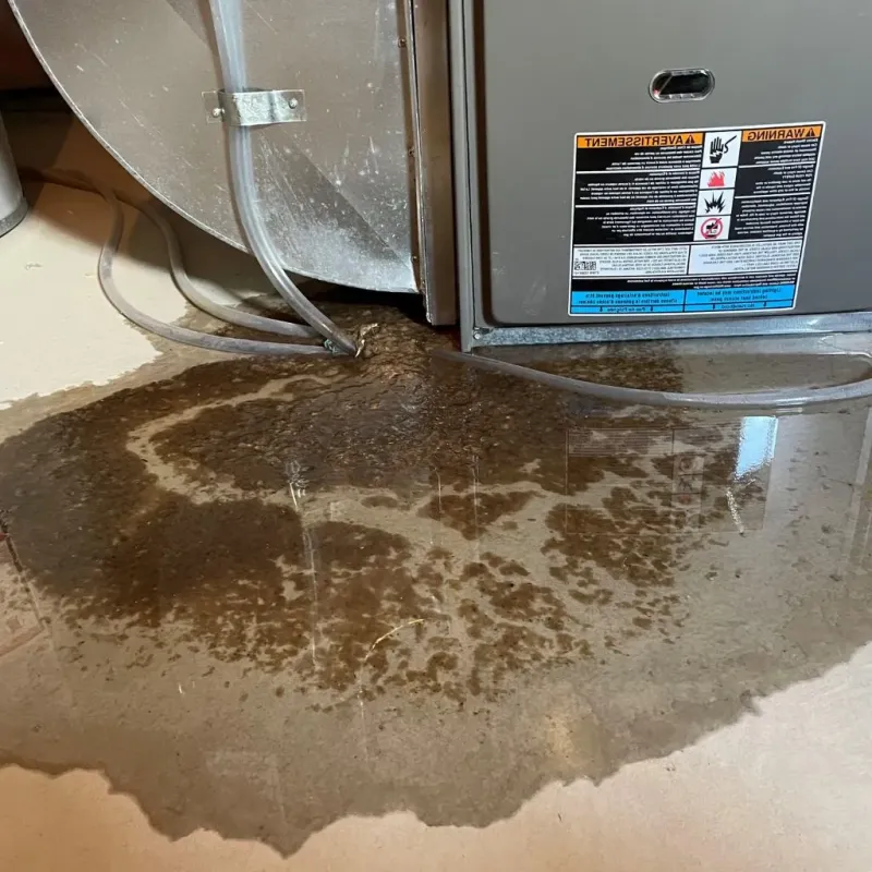 Pipe Burst and Leak Restoration in Lexington, VA
