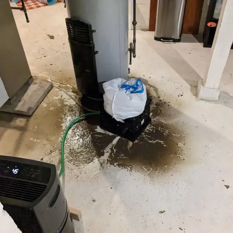 Sewage Backup Cleanup Service in Lexington, VA